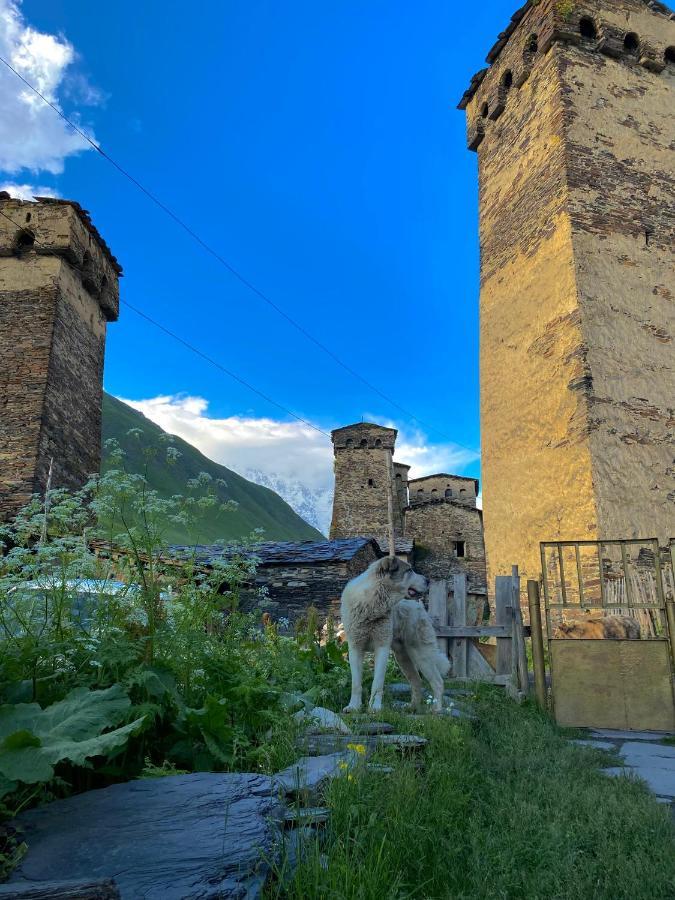 Hotel Nizharadze'S Tower Ushguli Esterno foto