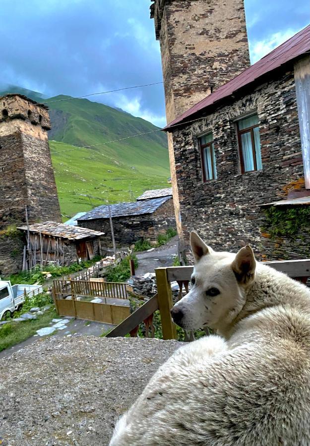 Hotel Nizharadze'S Tower Ushguli Esterno foto